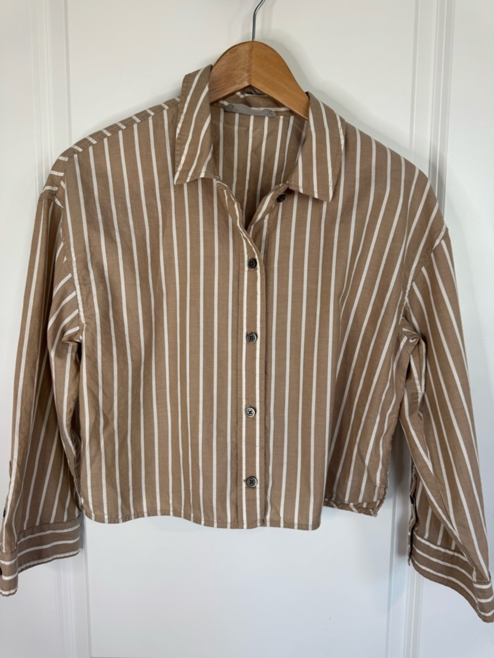 Everlane Cropped Boxy Button Up Shirt Tan White Striped Minimalist Cotton XXS